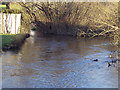 The River Till near Asserton