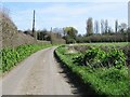 Looking E along Chitty Lane