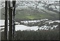 Hill Cottages seen  from Knott wood