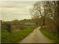 Ridgeway Lane, Child Okeford