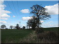 Farmland near Bishop Monkton