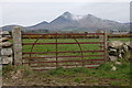 Gate near Ballymartin