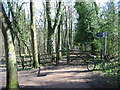 Tracks and signpost in Ecclesall Woods