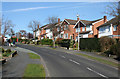 Bankfield Avenue, Wistaston