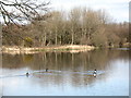 Black Heath Pond