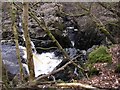 Auchinlillylinn Spout and Gorge, River Carron, Near Denny