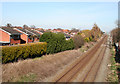 View NE from Ropegreen Bridge