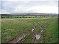 Farmland SE Of  Wold Newton