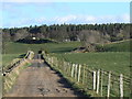 Meandering farm road