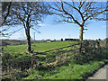 Farmland, Cwm-y-Breach, Moulton, near Barry.