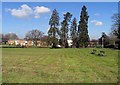 View from St Mary