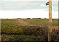 Footpath towards Hadleigh