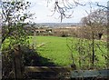 View from All Saints, Nazeing churchyard, Essex