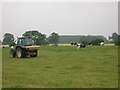 Top dressing fertiliser at Kempley