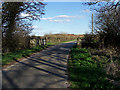 Bridge Over Frome Tributary at Tadnoll