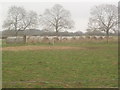 Straw Bales at Mount Pleasant, Wheldrake