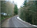 Road in Craigphadrig Forest