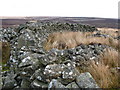 NT6259 : Sheepfold at the Mutiny Stones by Lisa Jarvis