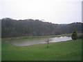 Stocked Trout Fishing Pond in Far Forest