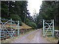 An entrance to Altcailleach Forest