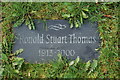 Carreg ar lwch R S Thomas - Stone on R S Thomas