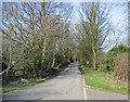 Gypsy lane, Caerphilly