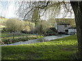 The River Cerne at Godmanstone