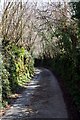 Narrow Lane to Ley Mill