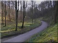 The road to Bungdalehead Farm