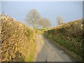 Narrow lane, between Chickward and Kingswood