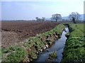 Brook, at Lady Arbour Farm