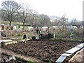 Allotments in Diggle