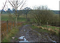 Bridleway between Wardle and Shore