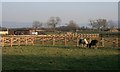 Horse Paddocks and Stables, Near Ings Farm