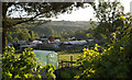 Ley St Allotments