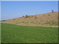 Wolds Farmland