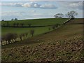 Pastures, Carlatton