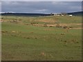 Pastures, King Water valley