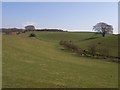 Pastures, Croglin