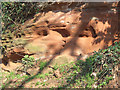 Sandstone Rock, Ludstone, Shropshire