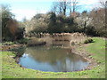 Pond by Valley Road, Welwyn Garden City