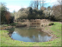 TL2212 : Pond by Valley Road, Welwyn Garden City by John Partridge