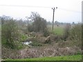 Pond at Cop House Farm