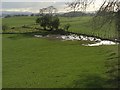 Pastures, Carlatton