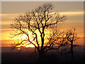 NY5452 : Albyfield sunset by Andrew Smith