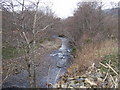 Upstream Burn of Mackalea