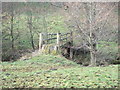 Footbridge over the Fiddich