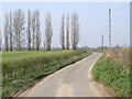 Bends and Poplars, Leys Lane