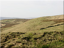 SD8115 : Throstle Hill by liz dawson