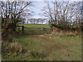 Gate near Black Bangworthy Cottage